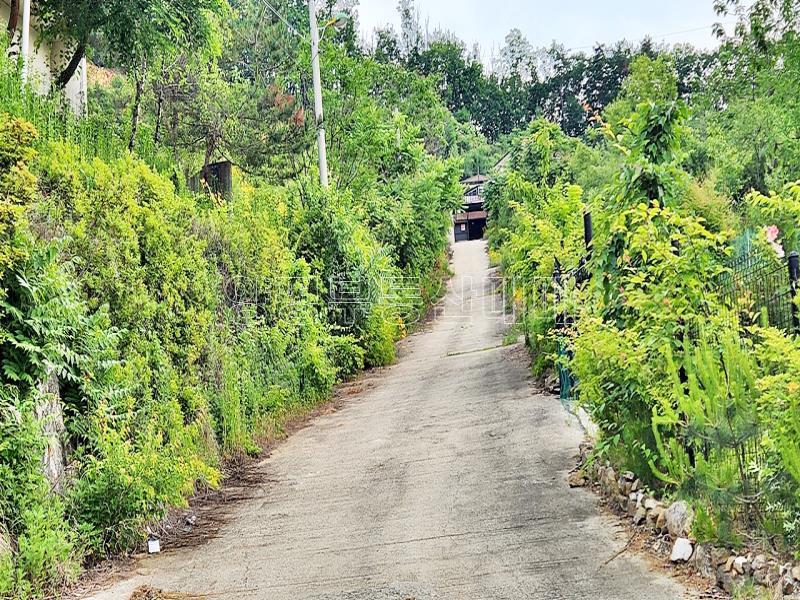 경기도 광주시 퇴촌면 영동리_22