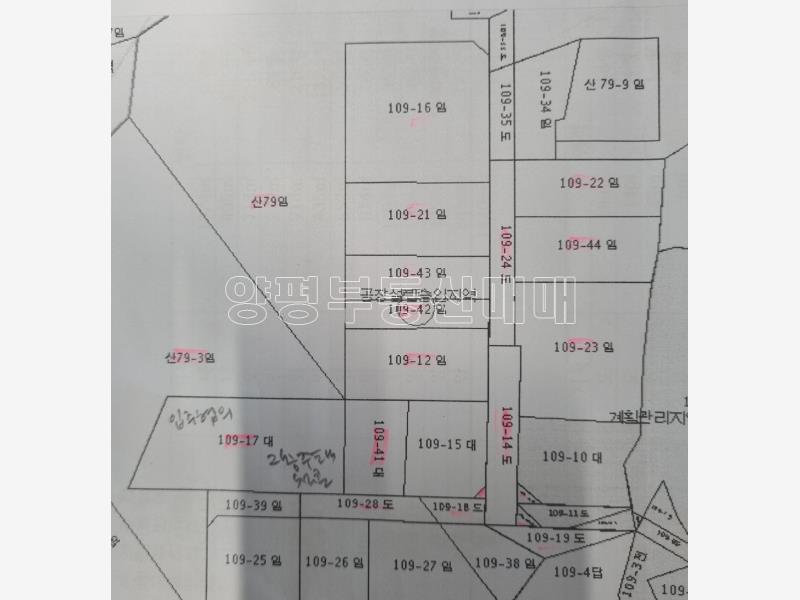 경기도 광주시 퇴촌면 영동리_24