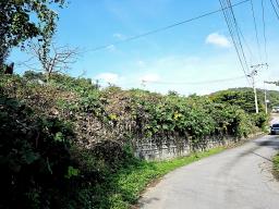 양평군 옥천면 신복리 접근성 용이한 토지_썸네일_1