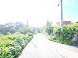 양평군 옥천면 신복리 접근성 용이한 토지_썸네일_4