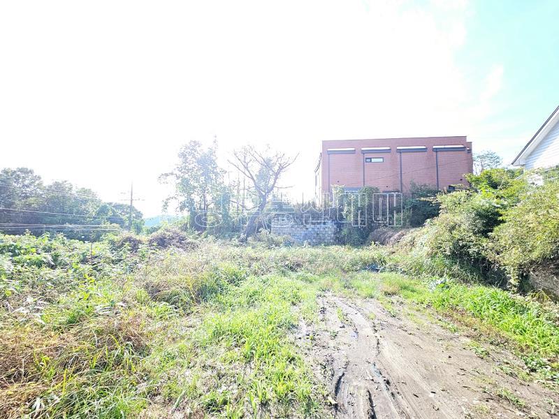 양평군 옥천면 신복리 접근성 용이한 토지_5