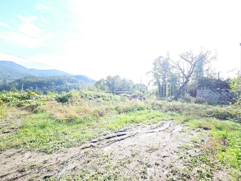 양평군 옥천면 신복리 접근성 용이한 토지_6