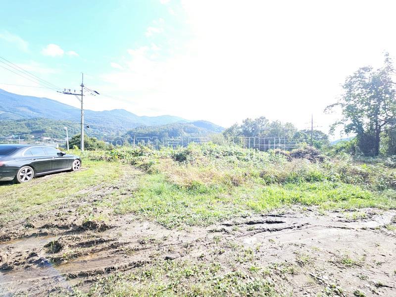 양평군 옥천면 신복리 접근성 용이한 토지_7