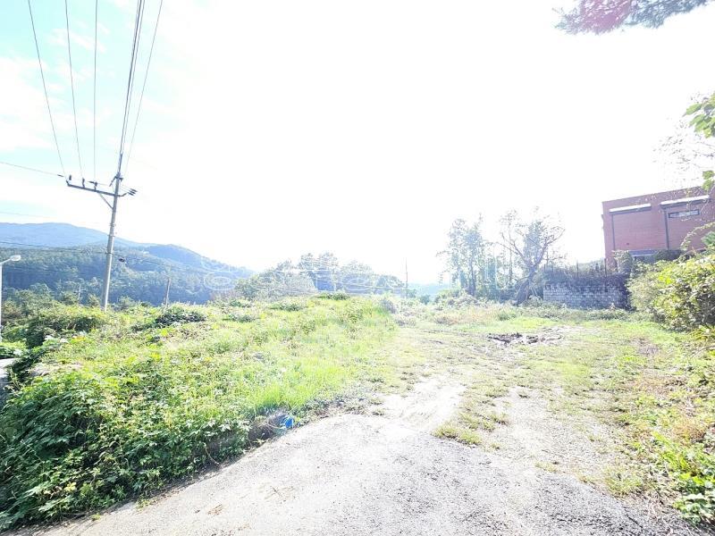 양평군 옥천면 신복리 접근성 용이한 토지_11