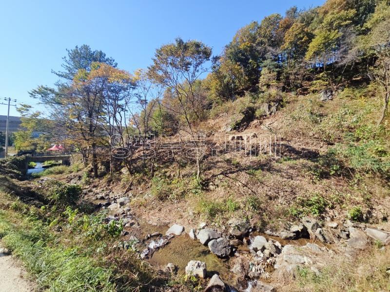 양평군 양서면 증동리 청계산 의 아침_1