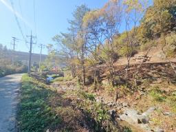 양평군 양서면 증동리 청계산 의 아침_썸네일_2