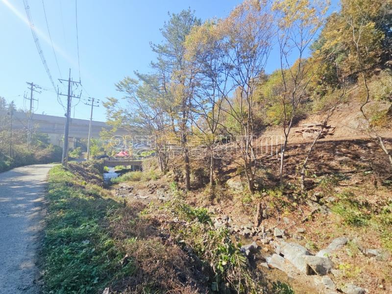 양평군 양서면 증동리 청계산 의 아침_2