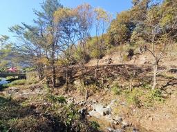 양평군 양서면 증동리 청계산 의 아침