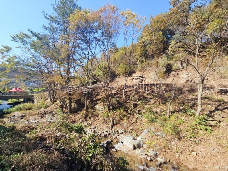 양평군 양서면 증동리 청계산 의 아침_3