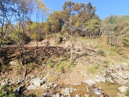 양평군 양서면 증동리 청계산 의 아침_썸네일_4