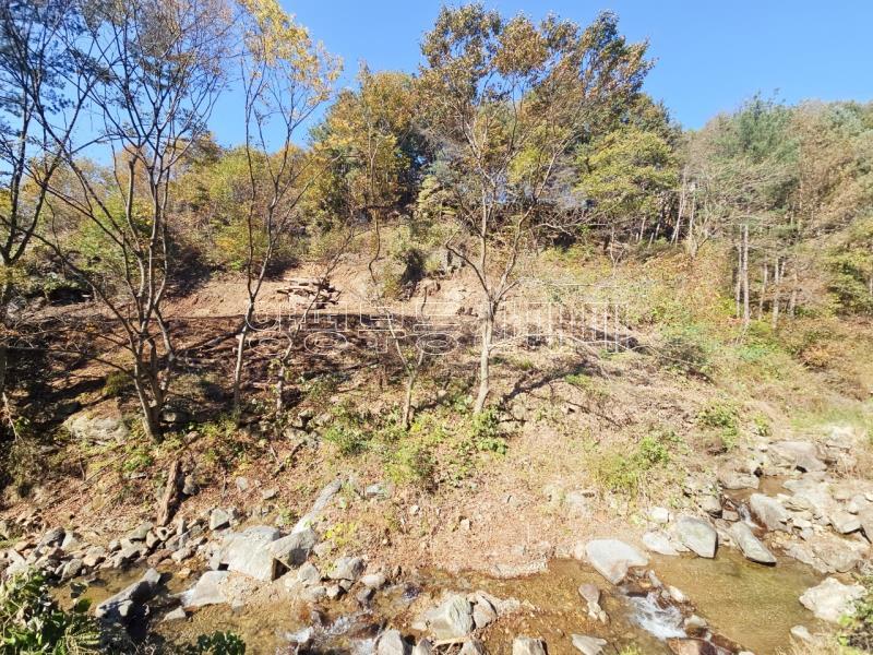 양평군 양서면 증동리 청계산 의 아침_4
