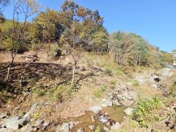 양평군 양서면 증동리 청계산 의 아침_썸네일_5