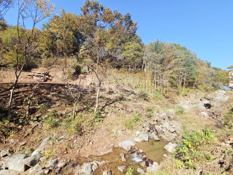 양평군 양서면 증동리 청계산 의 아침_5