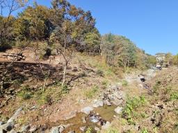 양평군 양서면 증동리 청계산 의 아침_썸네일_6