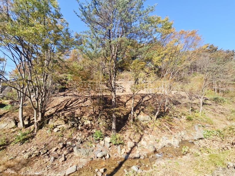 양평군 양서면 증동리 청계산 의 아침_7