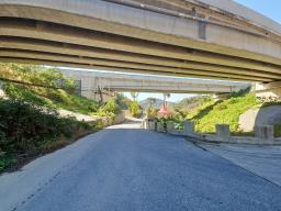 양평군 양서면 증동리 청계산 의 아침_썸네일_8