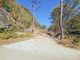 양평군 양서면 증동리 청계산 의 아침_썸네일_9