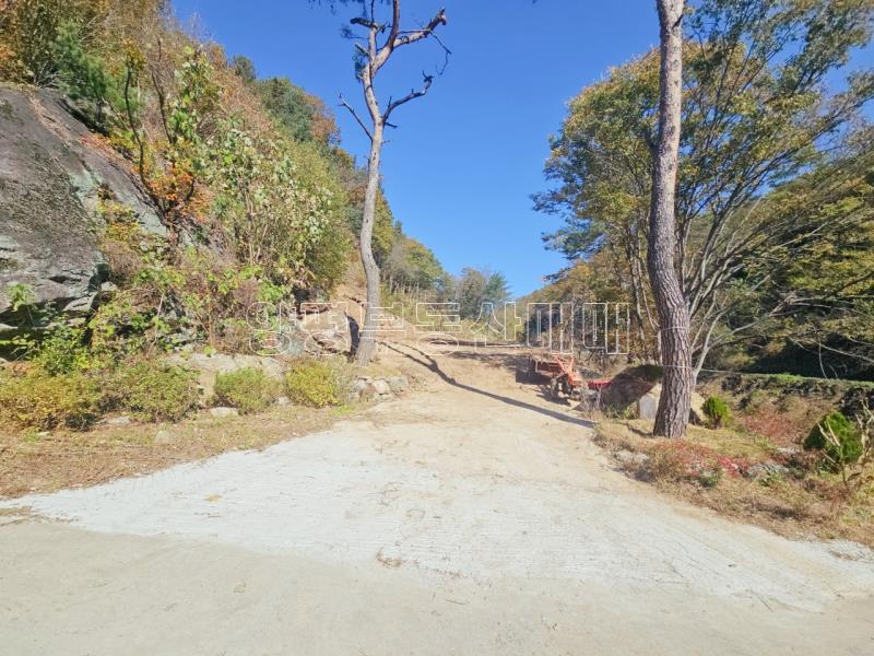 양평군 양서면 증동리 청계산 의 아침_9