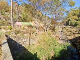 양평군 양서면 증동리 청계산 의 아침_썸네일_10