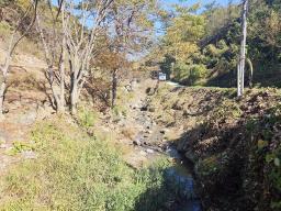 양평군 양서면 증동리 청계산 의 아침_썸네일_11