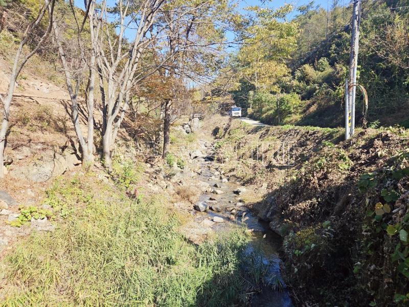 양평군 양서면 증동리 청계산 의 아침_11