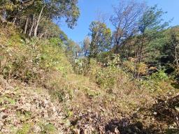 양평군 양서면 증동리 청계산 의 아침_썸네일_12