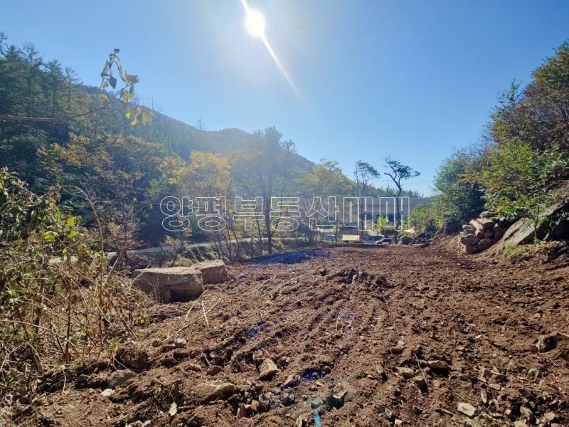 양평군 양서면 증동리 청계산 의 아침_13