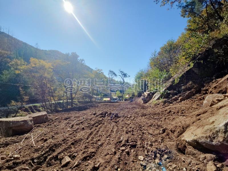 양평군 양서면 증동리 청계산 의 아침_14