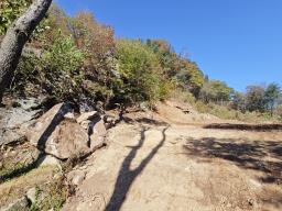 양평군 양서면 증동리 청계산 의 아침_썸네일_15