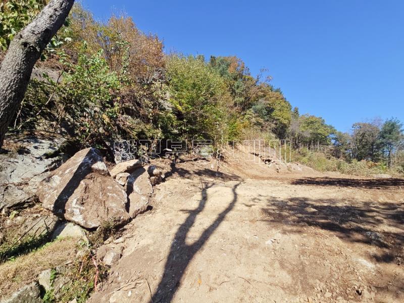 양평군 양서면 증동리 청계산 의 아침_15