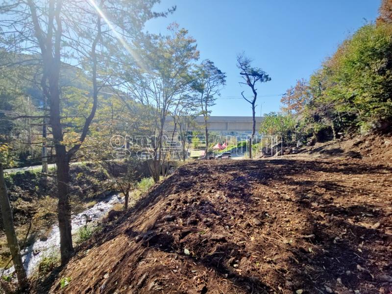 양평군 양서면 증동리 청계산 의 아침_18