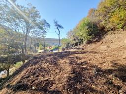 양평군 양서면 증동리 청계산 의 아침_썸네일_19