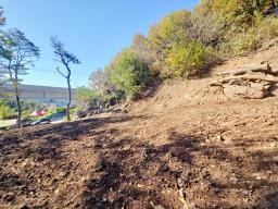 양평군 양서면 증동리 청계산 의 아침_썸네일_20