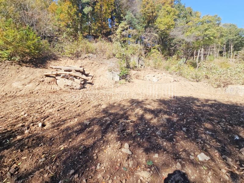 양평군 양서면 증동리 청계산 의 아침_22