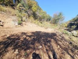 양평군 양서면 증동리 청계산 의 아침_썸네일_23