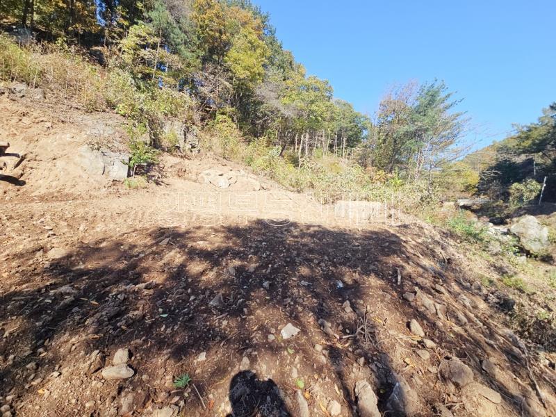 양평군 양서면 증동리 청계산 의 아침_23