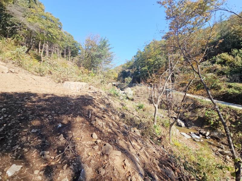 양평군 양서면 증동리 청계산 의 아침_24