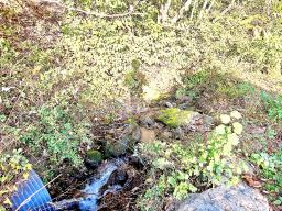 경기도 광주시 남종면 수청리 깊은산속 토지_썸네일_1