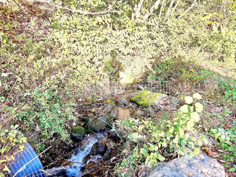 경기도 광주시 남종면 수청리 깊은산속 토지_1