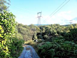 경기도 광주시 남종면 수청리 깊은산속 토지_썸네일_2