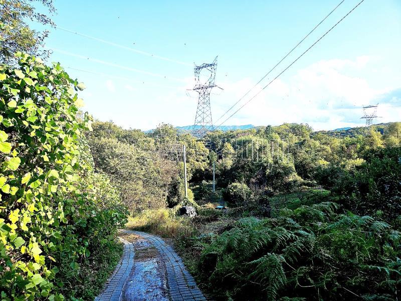 경기도 광주시 남종면 수청리 깊은산속 토지_2
