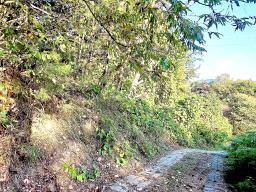 경기도 광주시 남종면 수청리 깊은산속 토지_썸네일_3