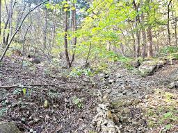 경기도 광주시 남종면 수청리 깊은산속 토지_썸네일_7