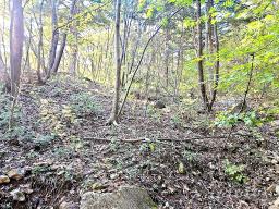 경기도 광주시 남종면 수청리 깊은산속 토지_썸네일_8