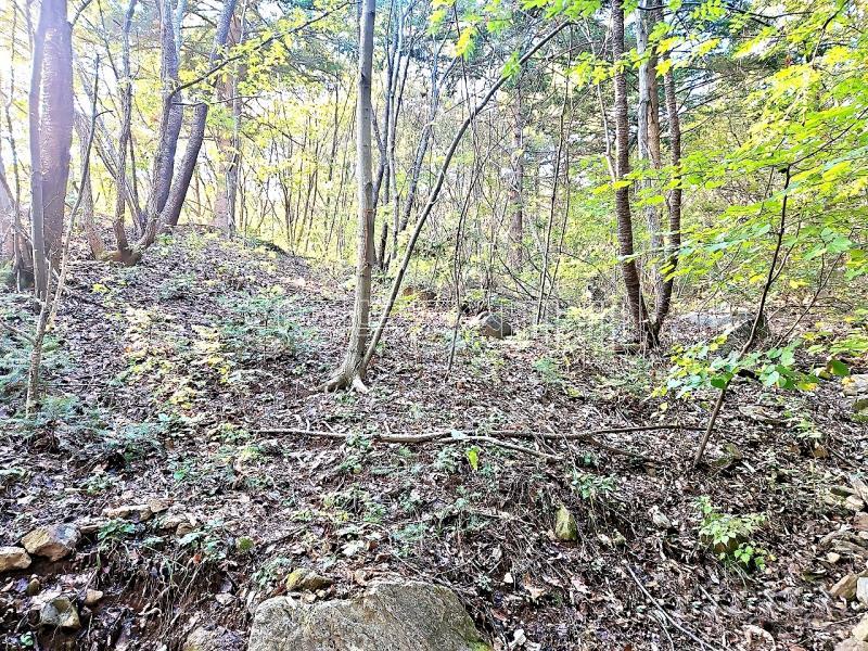 경기도 광주시 남종면 수청리 깊은산속 토지_8