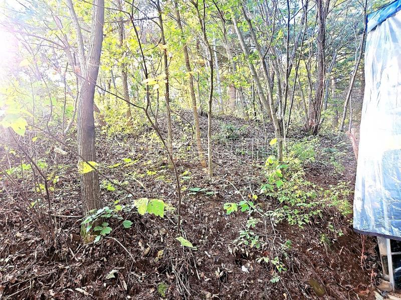 경기도 광주시 남종면 수청리 깊은산속 토지_10