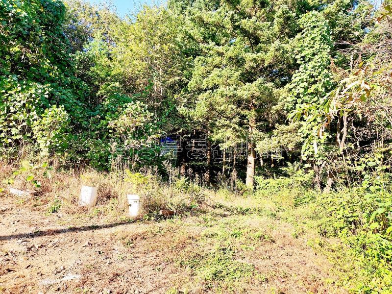 경기도 광주시 남종면 수청리 깊은산속 토지_13