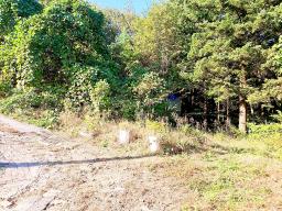 경기도 광주시 남종면 수청리 깊은산속 토지_썸네일_14