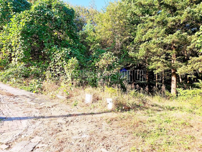 경기도 광주시 남종면 수청리 깊은산속 토지_14