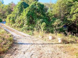 경기도 광주시 남종면 수청리 깊은산속 토지_썸네일_15